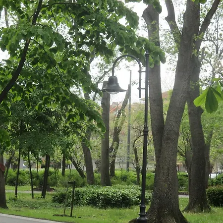 Vito's Place 布尔加斯